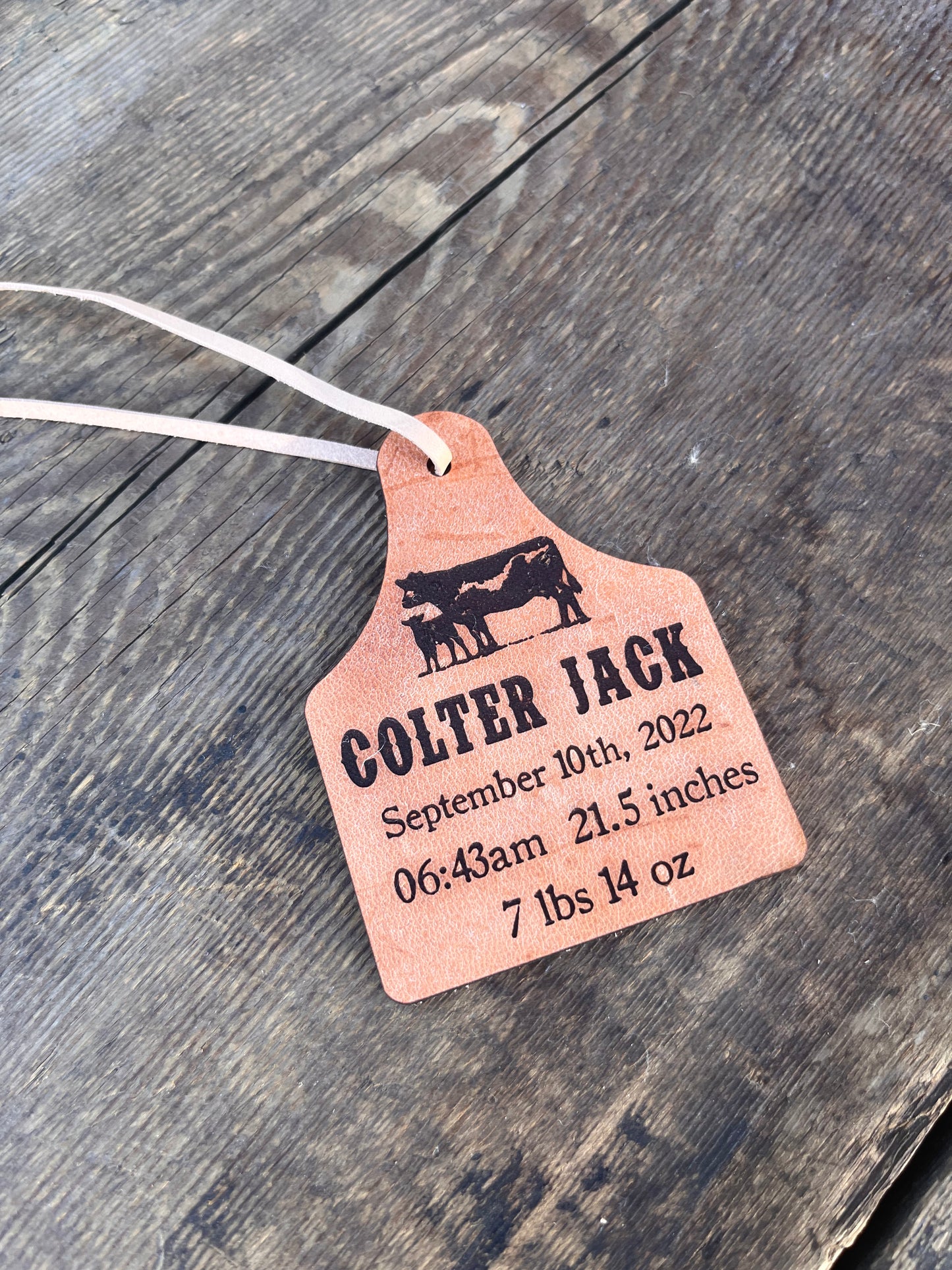Personalized Ear Tag Baby Stat Ornament